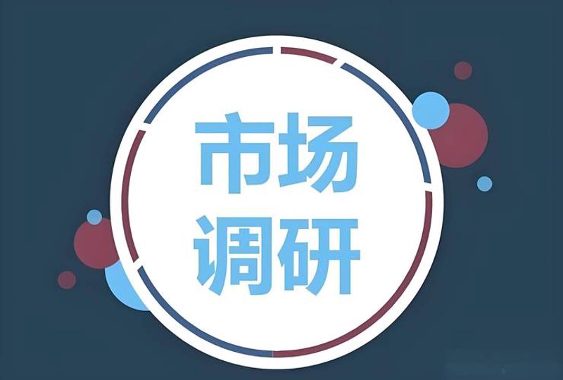 上海信息咨询业：洞察未来之光